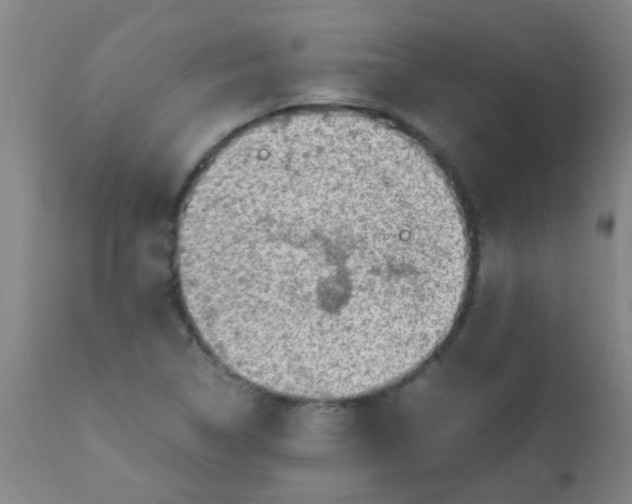 X0000110731314200907022100