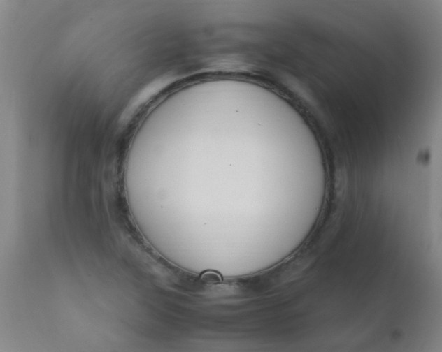 X0000110731315200907022100