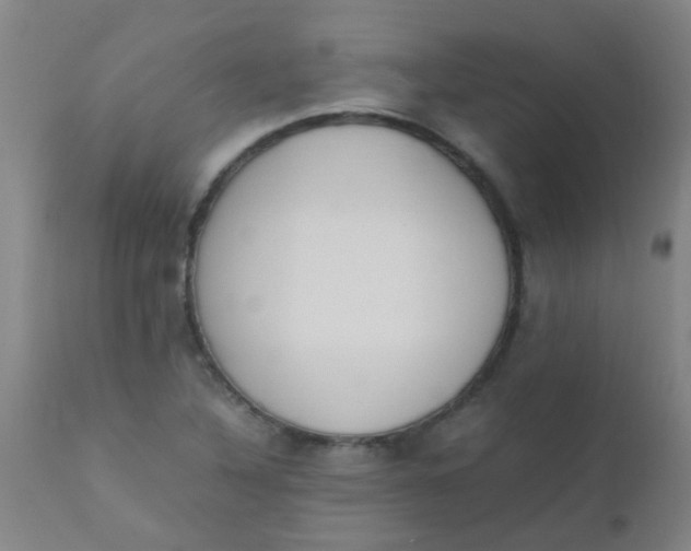 X0000110731316200907022100