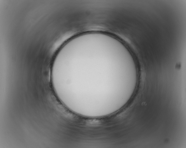 X0000110731317200907022100