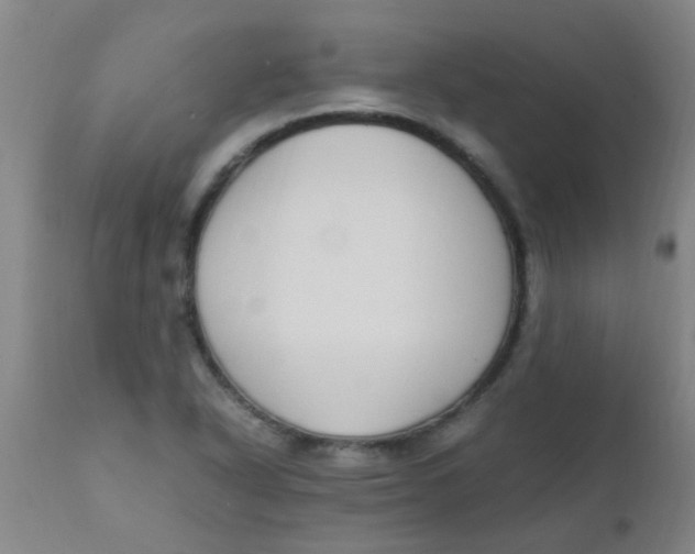 X0000110731318200907022100