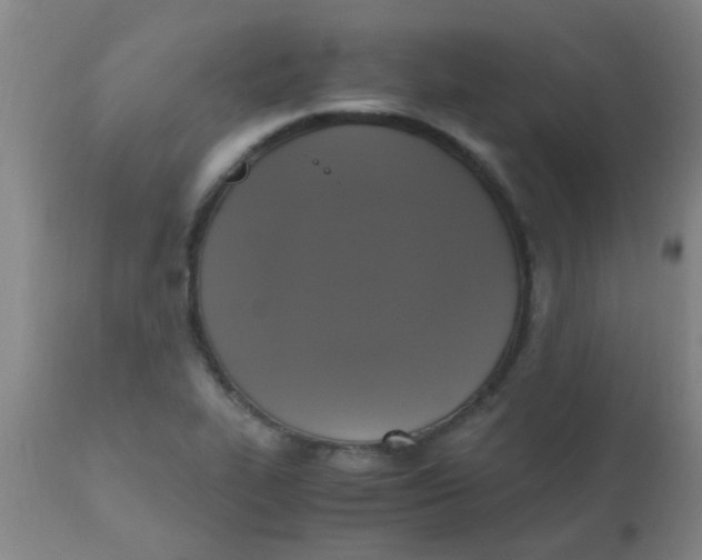 X0000110731319200907022101