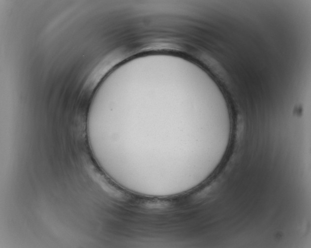 X0000110731321200907022101