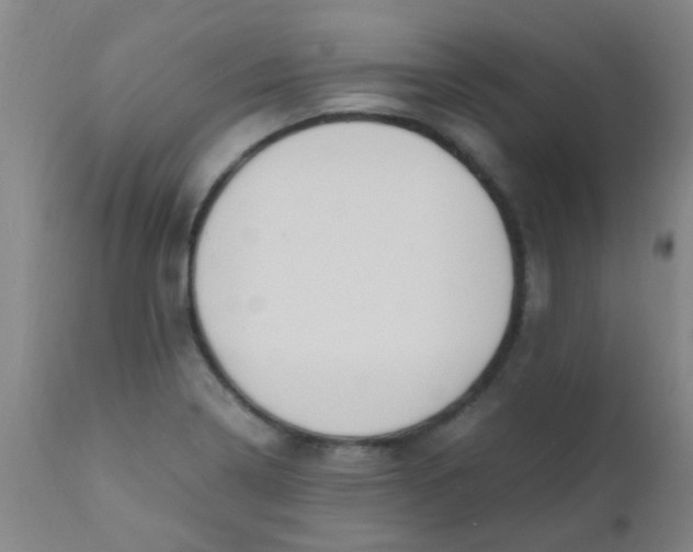 X0000110731322200907022101