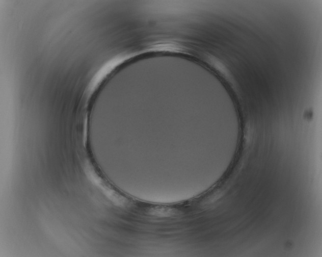 X0000110731323200907022101