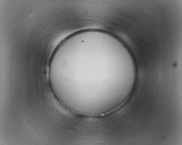 X0000110731324200907022101