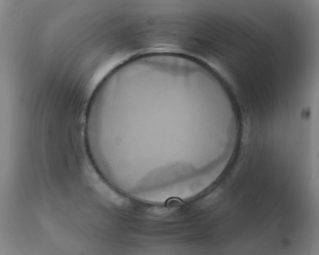 X0000110731325200907022101