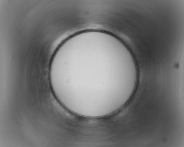 X0000110731326200907022101