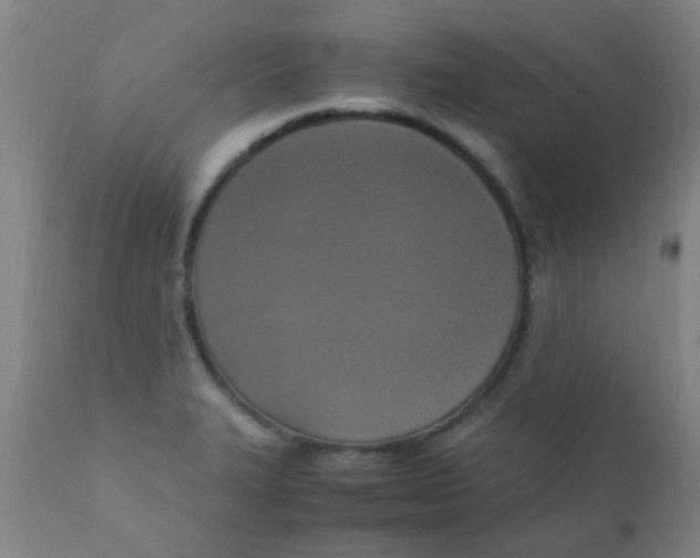 X0000110731327200907022101