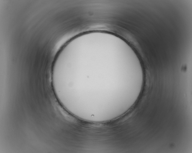 X0000110731328200907022101