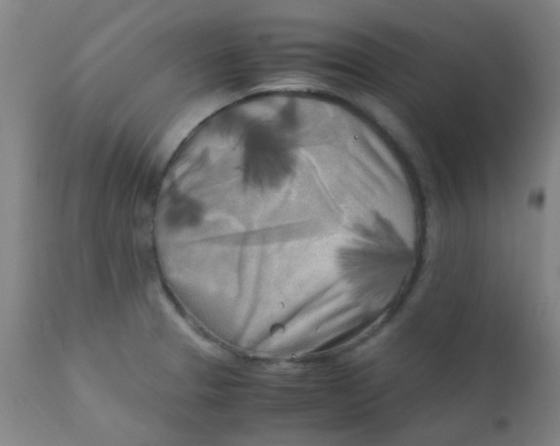 X0000110731329200907022101