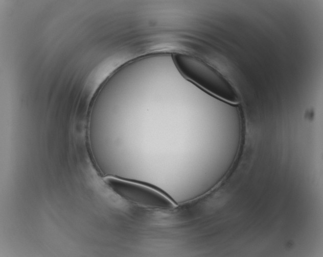 X0000110731330200907022101