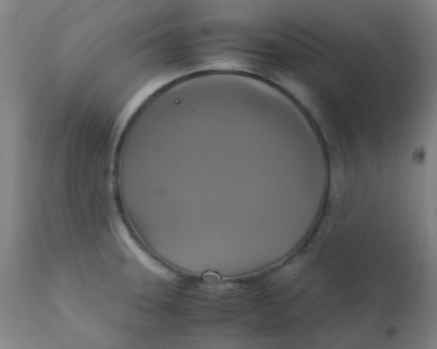 X0000110731331200907022101