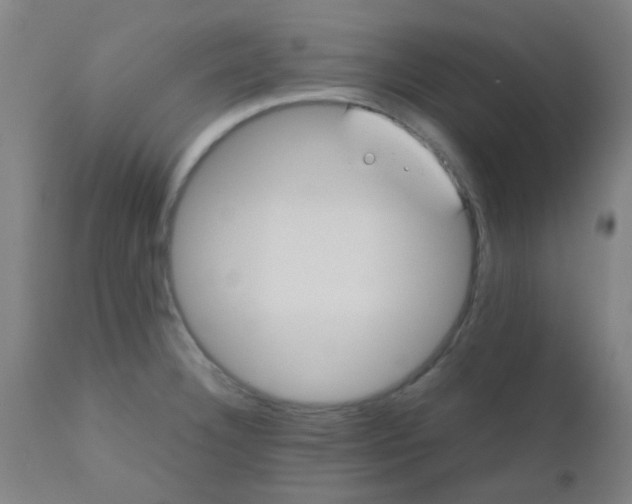 X0000110731332200907022101