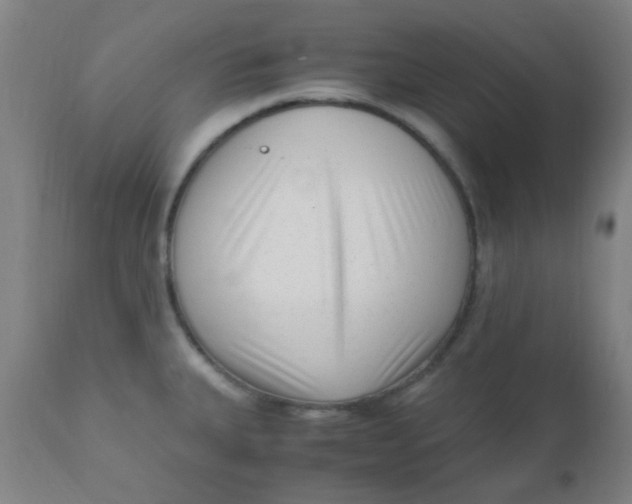 X0000110731335200907022101