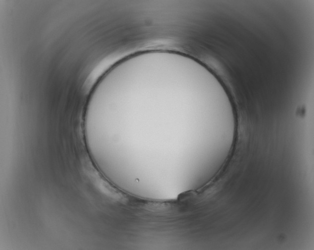 X0000110731336200907022101