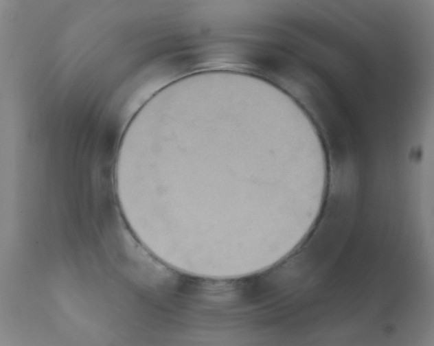 X0000110731338200907022101