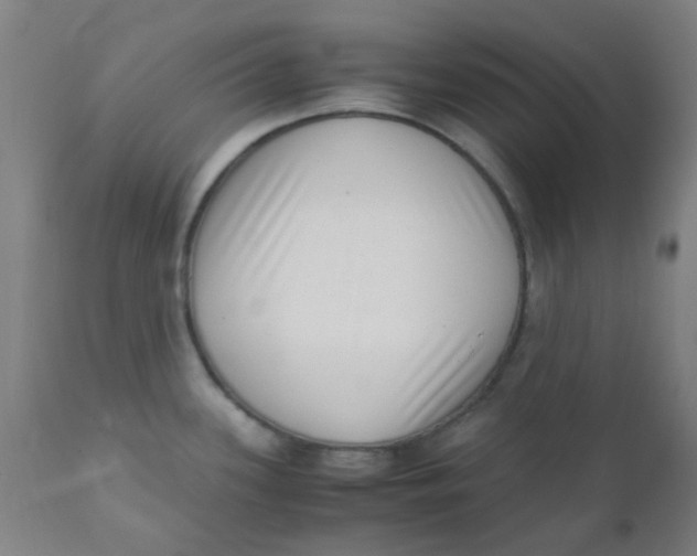 X0000110731339200907022101