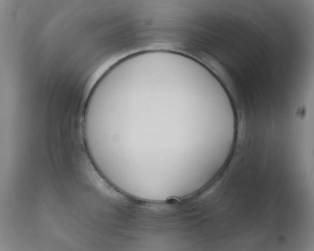 X0000110731340200907022101