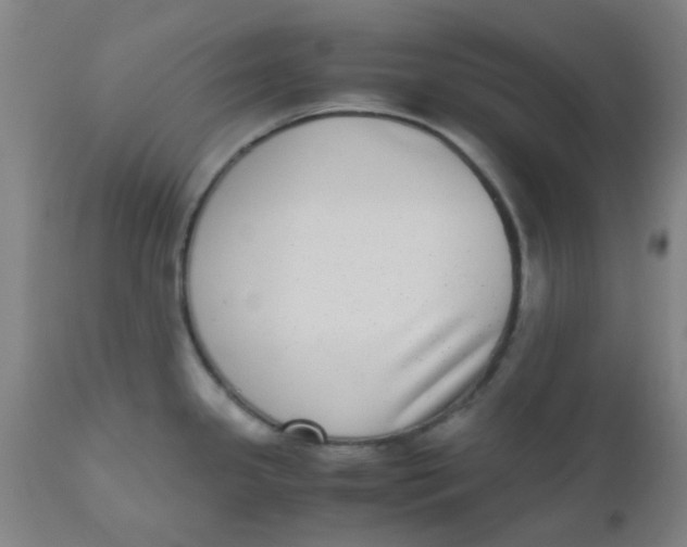 X0000110731341200907022101