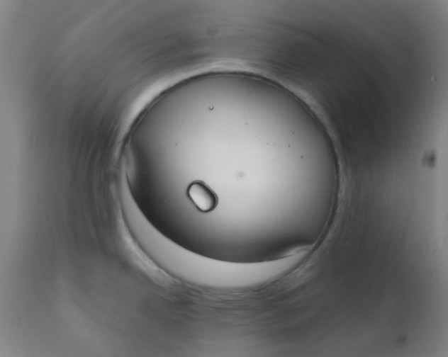 X0000110731342200907022101