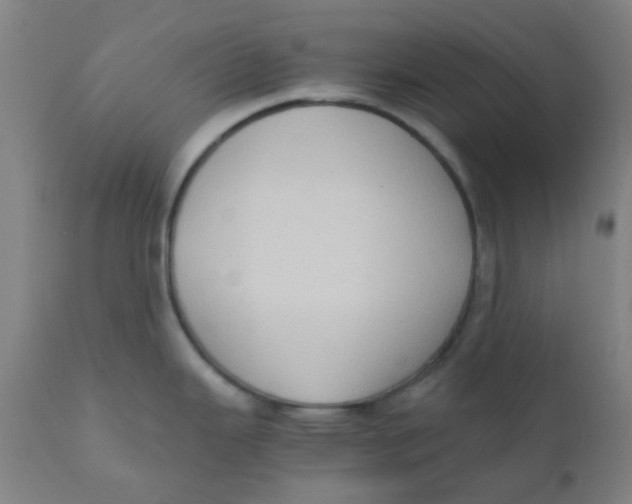 X0000110731343200907022101