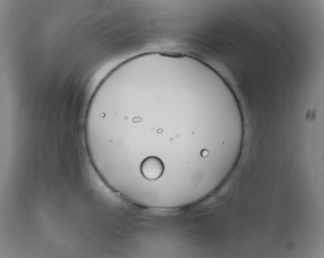 X0000110731344200907022101