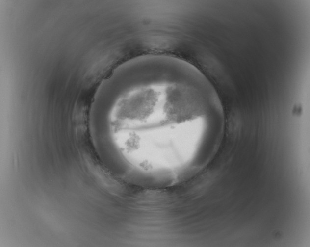 X0000110731346200907022100