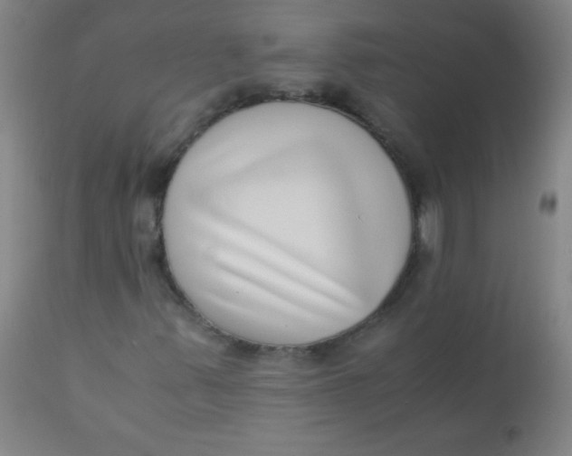 X0000110731347200907022100