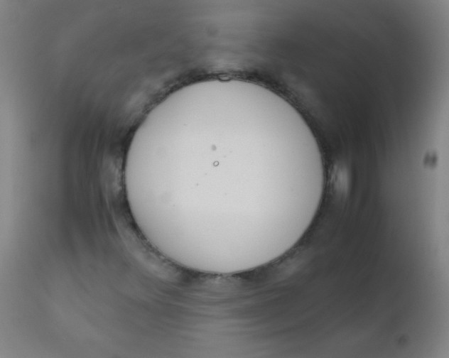 X0000110731348200907022100