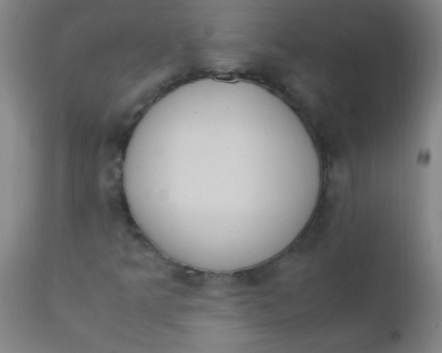 X0000110731349200907022100