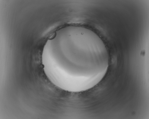 X0000110731350200907022100