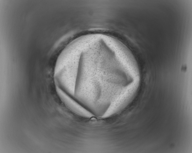 X0000110731351200907022100