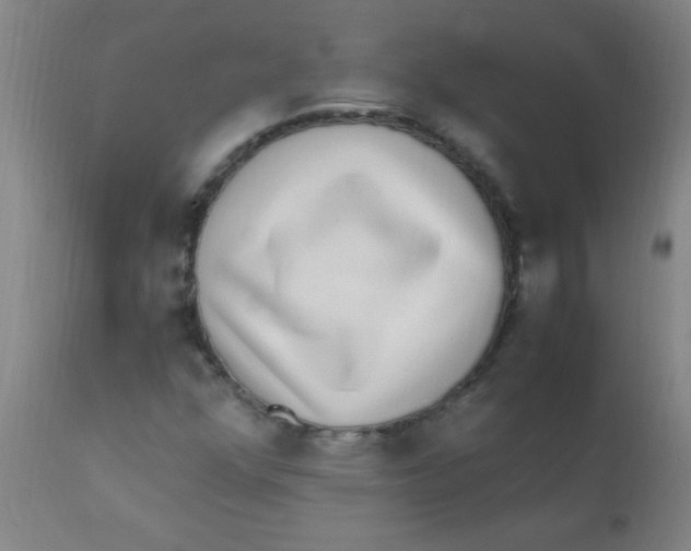 X0000110731352200907022100