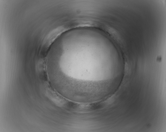 X0000110731353200907022100