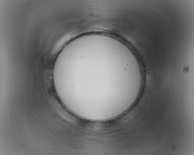 X0000110731355200907022100