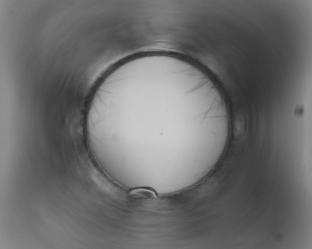 X0000110731356200907022100