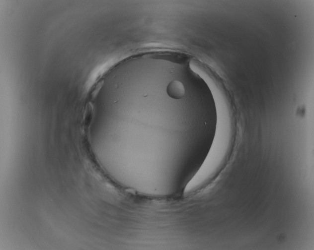 X0000110731357200907022100