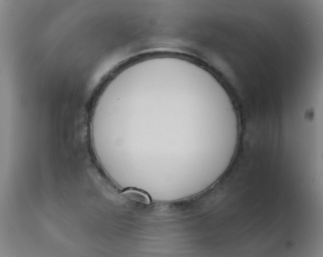 X0000110731360200907022100