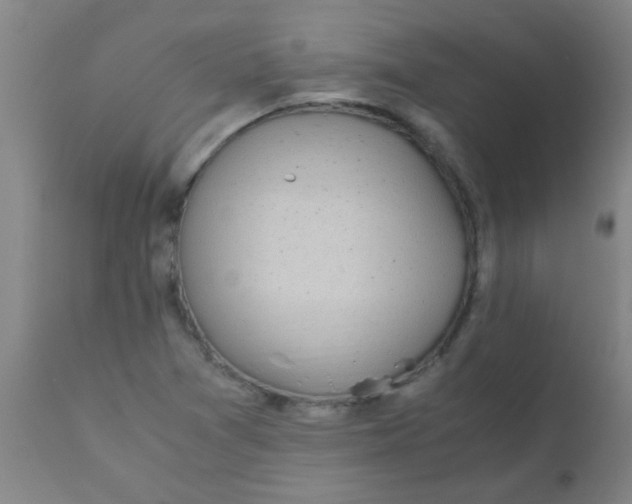 X0000110731361200907022100