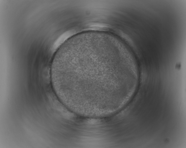 X0000110731362200907022100