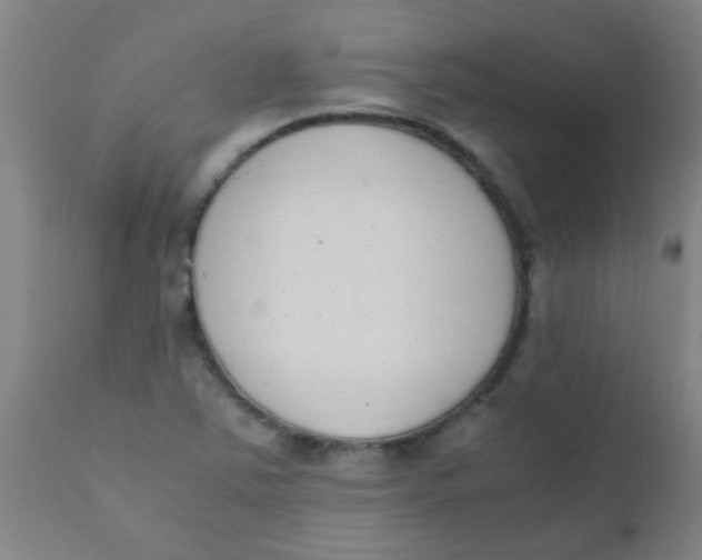 X0000110731363200907022100