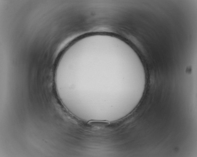 X0000110731364200907022100