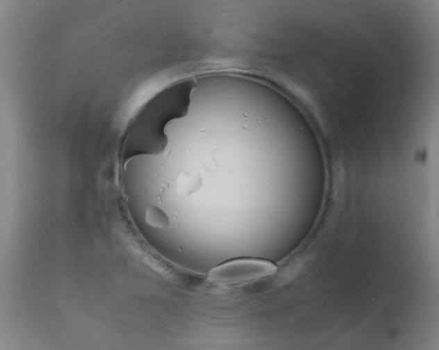 X0000110731365200907022100