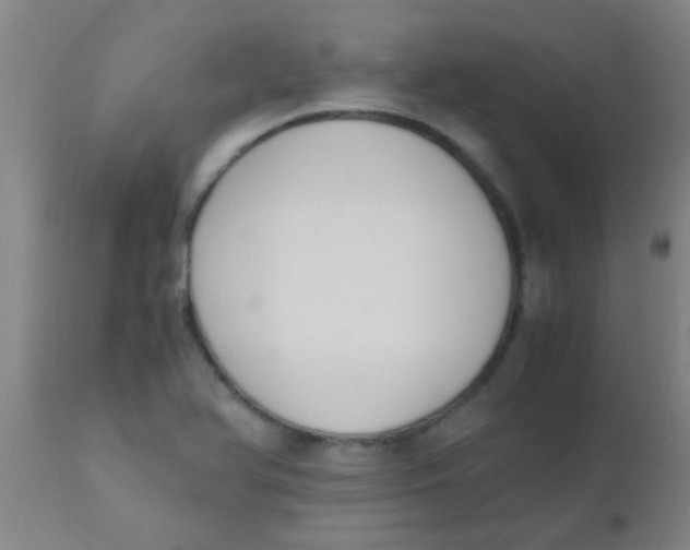 X0000110731366200907022100