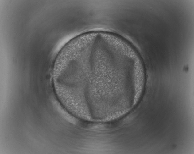 X0000110731367200907022100