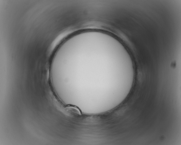 X0000110731368200907022100