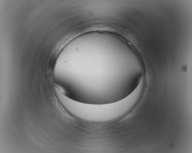 X0000110731369200907022100