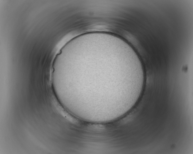 X0000110731370200907022100