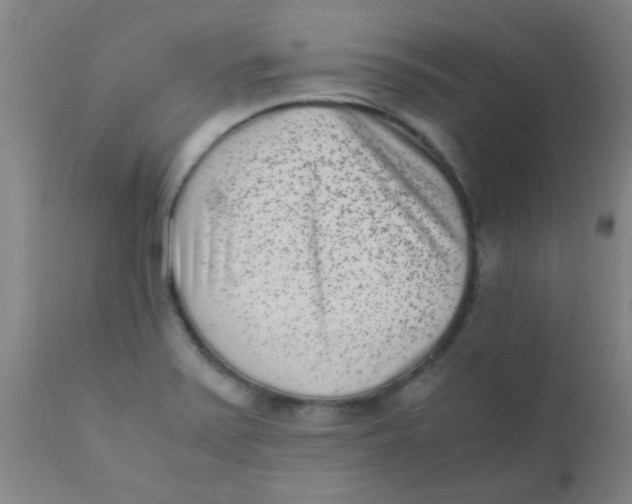 X0000110731371200907022100